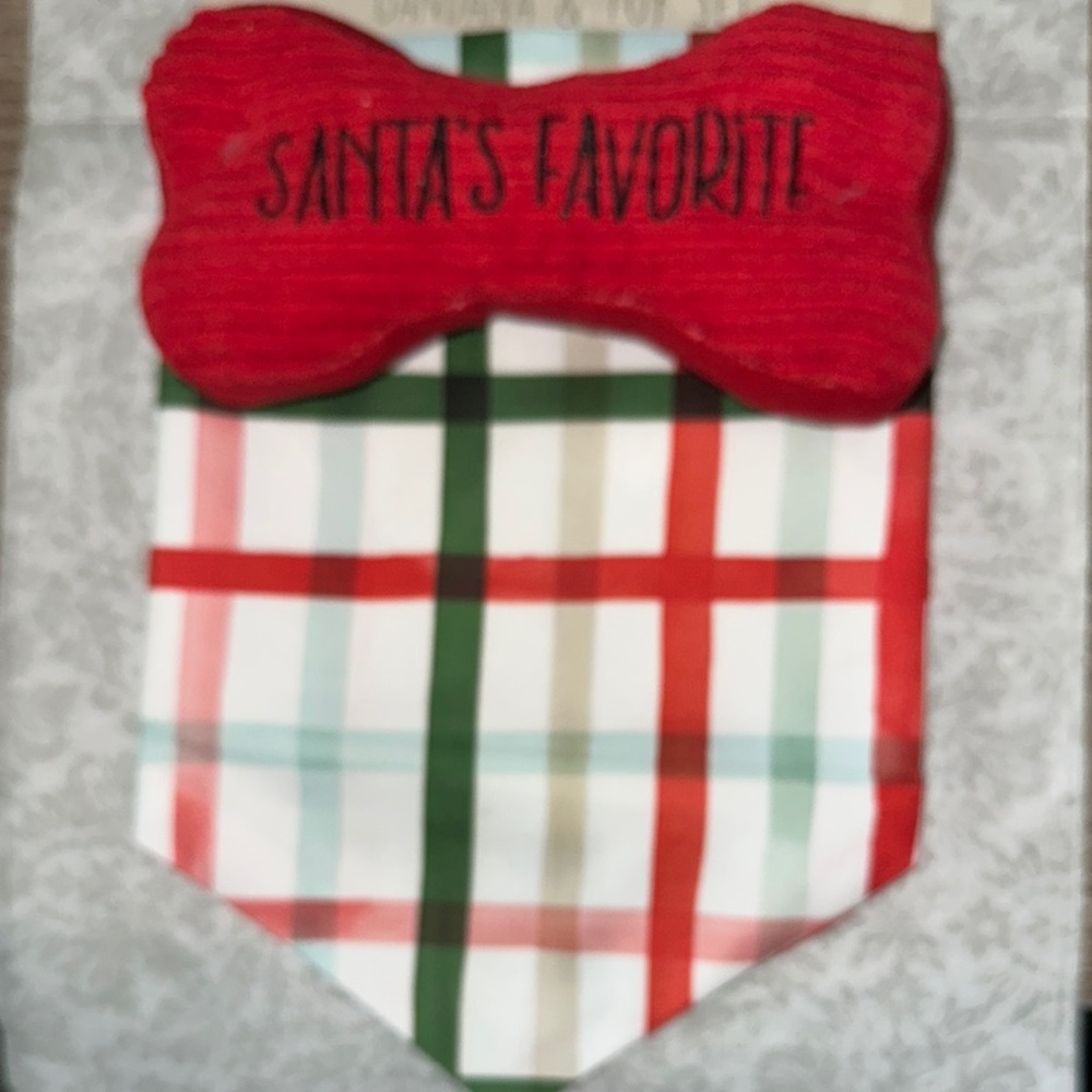 Santa's Favorite Pet Stocking - Red and Green